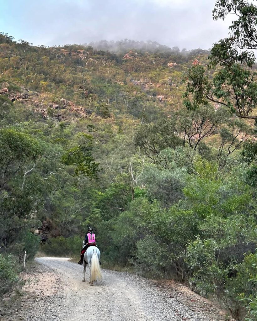 White horse riding on a trail in North Queensland